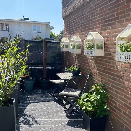 Shorestay Beachhouse * Зандфорт