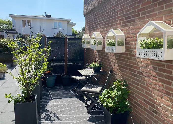 Shorestay Beachhouse * Zandvoort